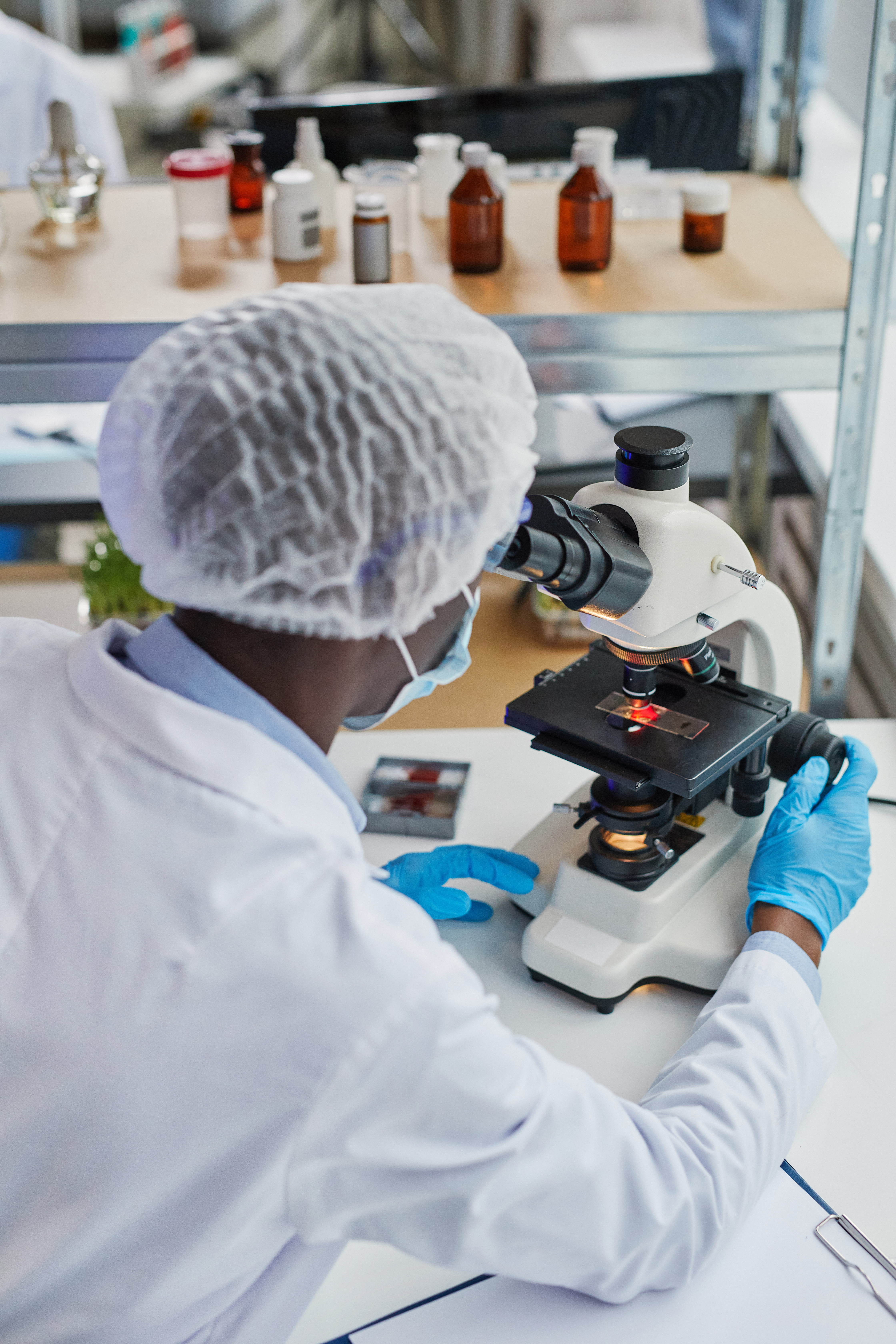 Doctor examining medical sample at office